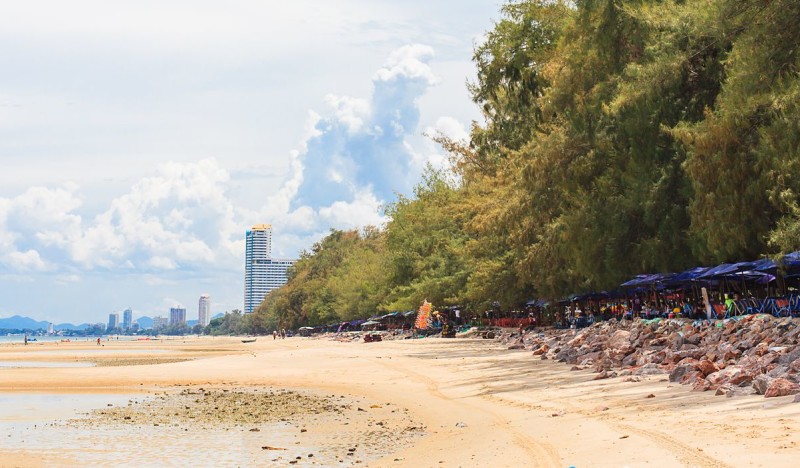 <span class=kid-textflex>Ча-Ам</span>