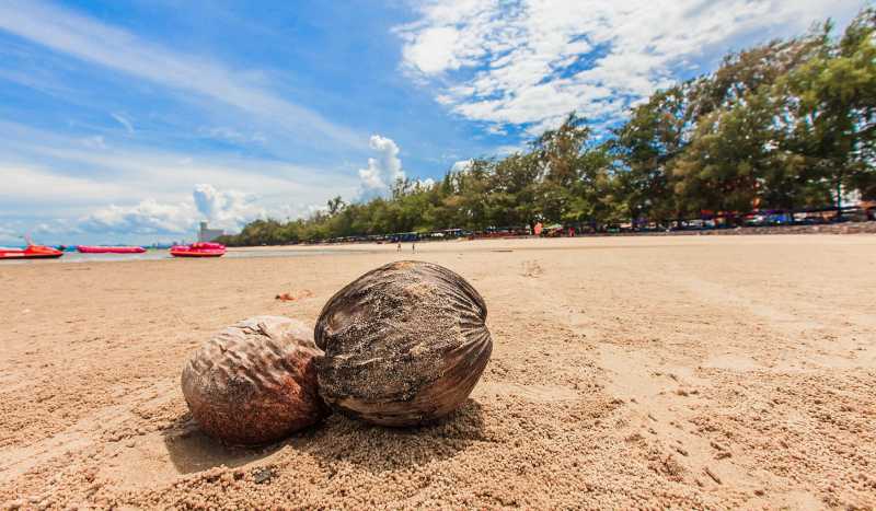 Ча-Ам фото 1