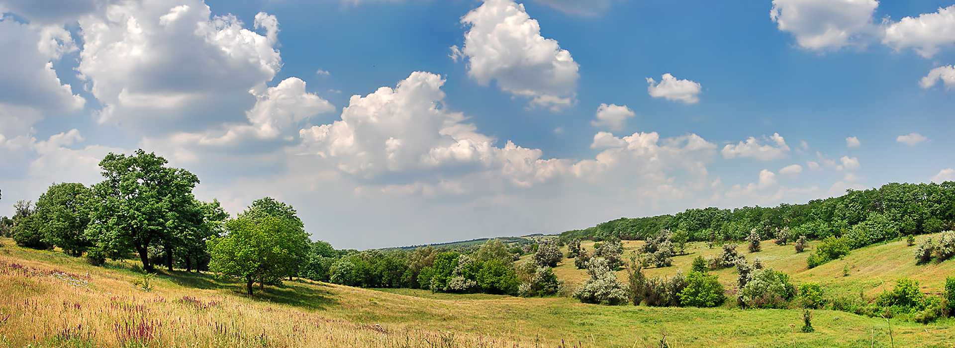 Загородные лагеря