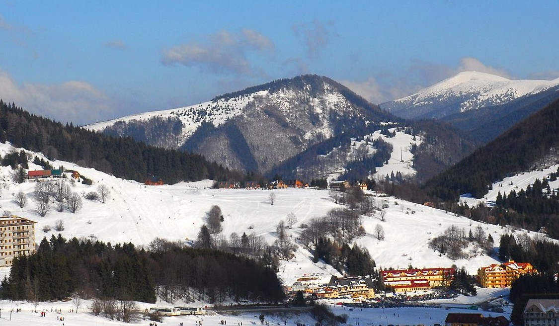 Доновалы фото 1