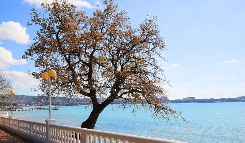 Геленджик фото 3