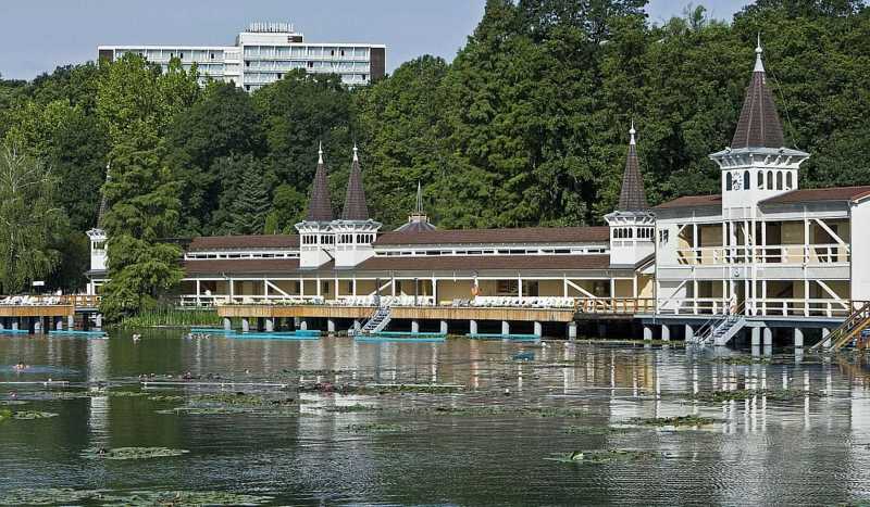 Хевиз фото 3