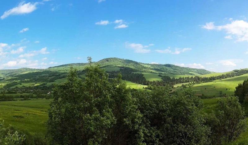 Отзывы о лагерях Карпат