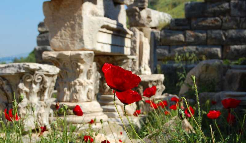 Кушадасы фото 2