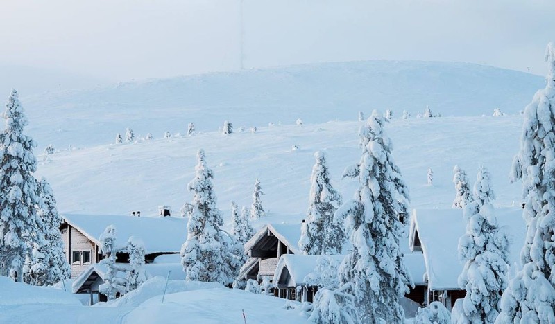 <span class=kid-textflex>Леви</span>