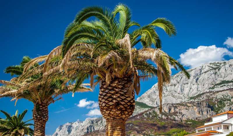 Макарска фото 3