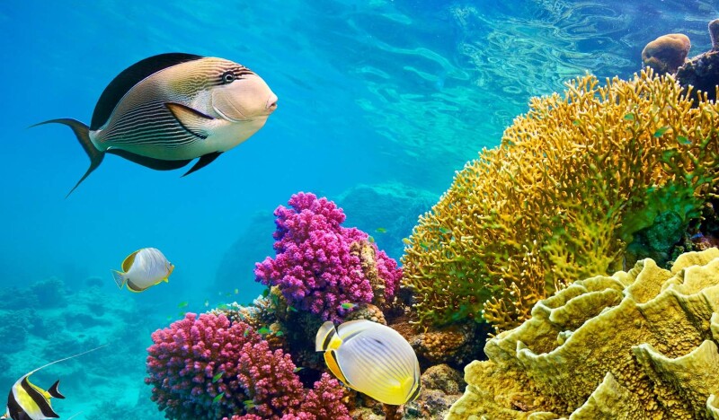 Марса-Алам фото 2