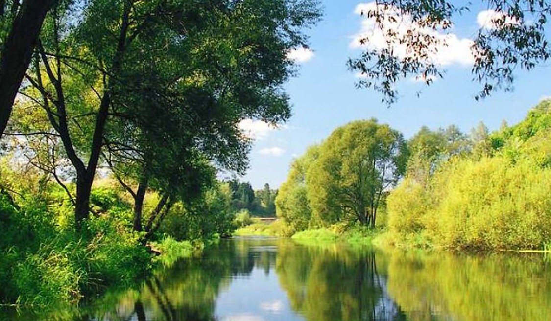 Московская Область