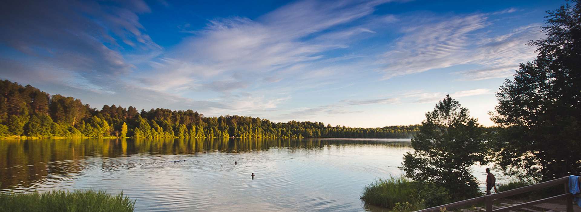 Загородные лагеря