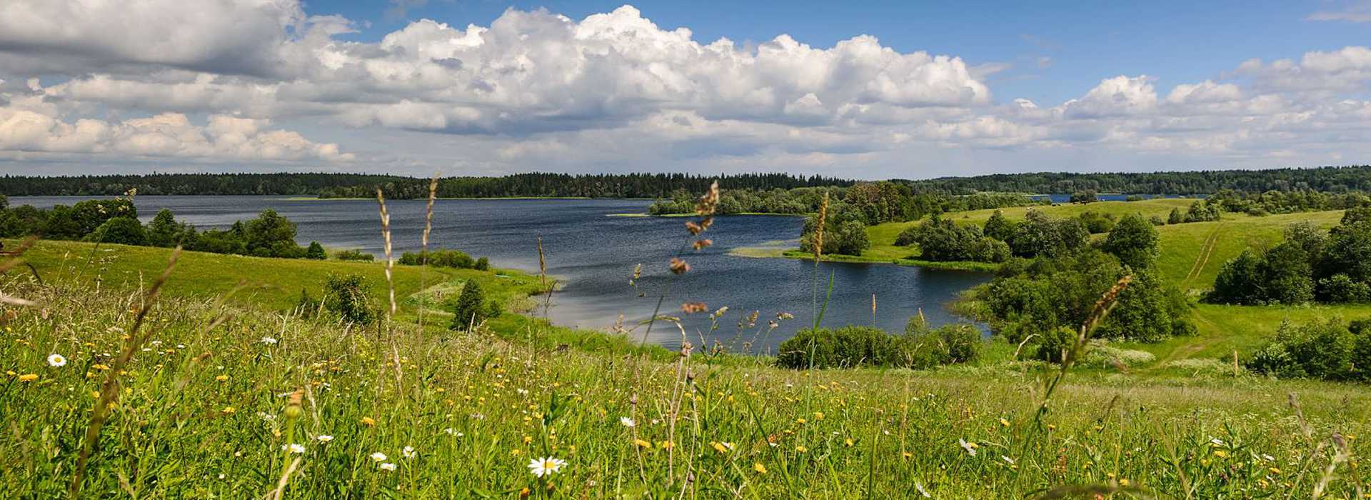 Загородные лагеря