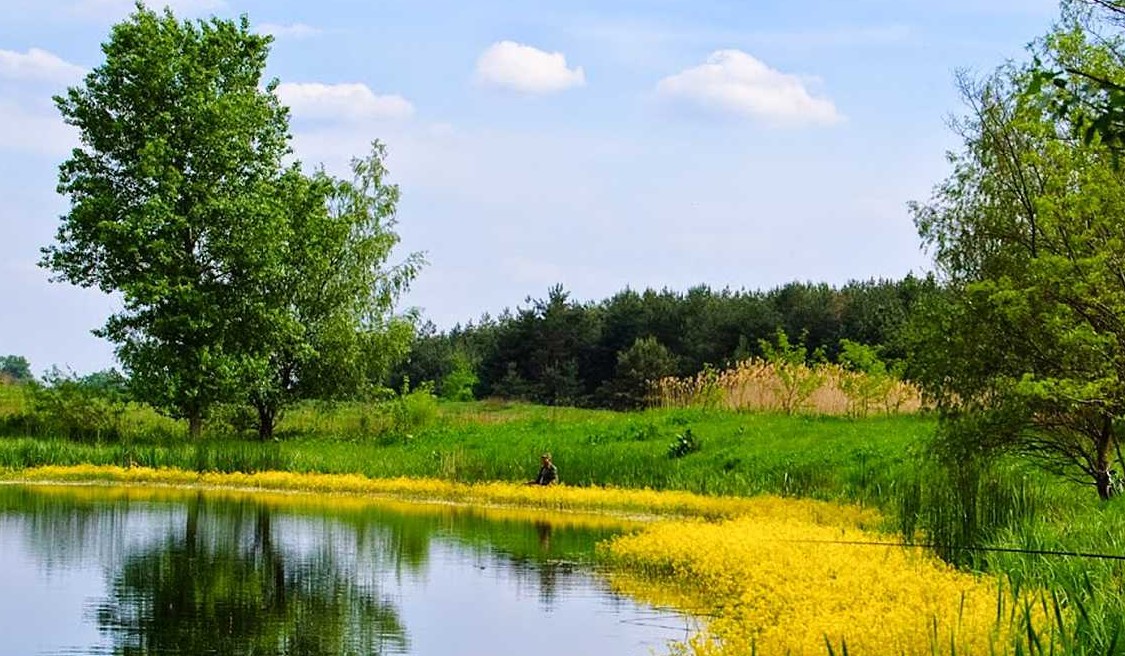 Одесская Область