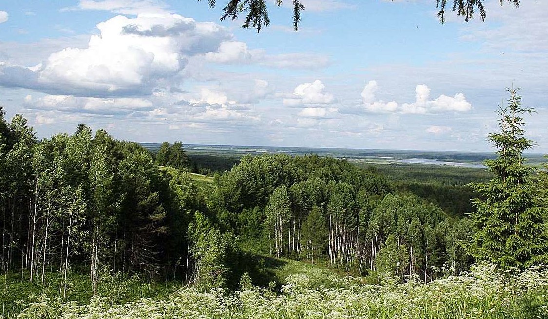 Подмосковье