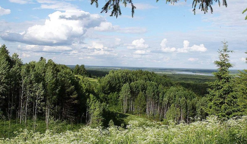 <span class=kid-textflex>Подмосковье</span>