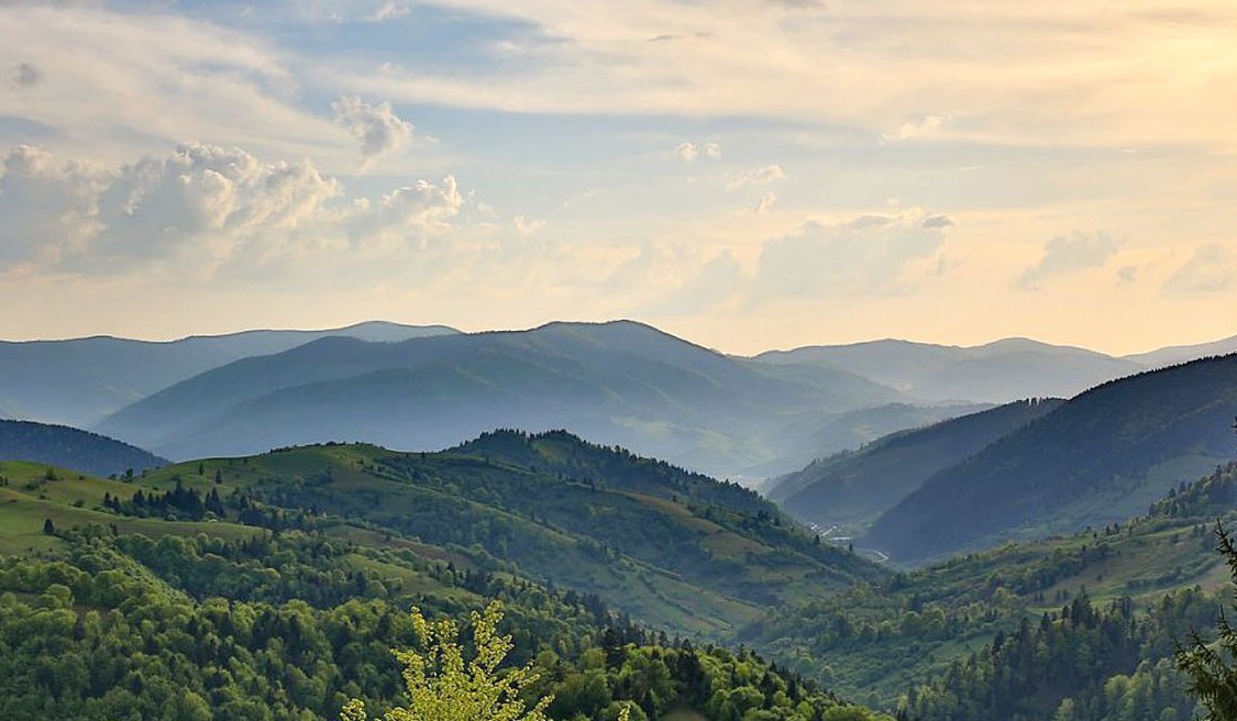 Прикарпатье фото 2