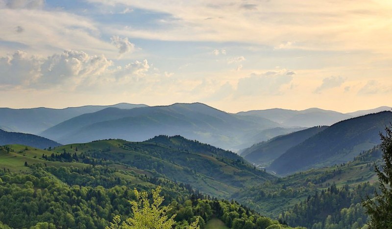 Прикарпатье