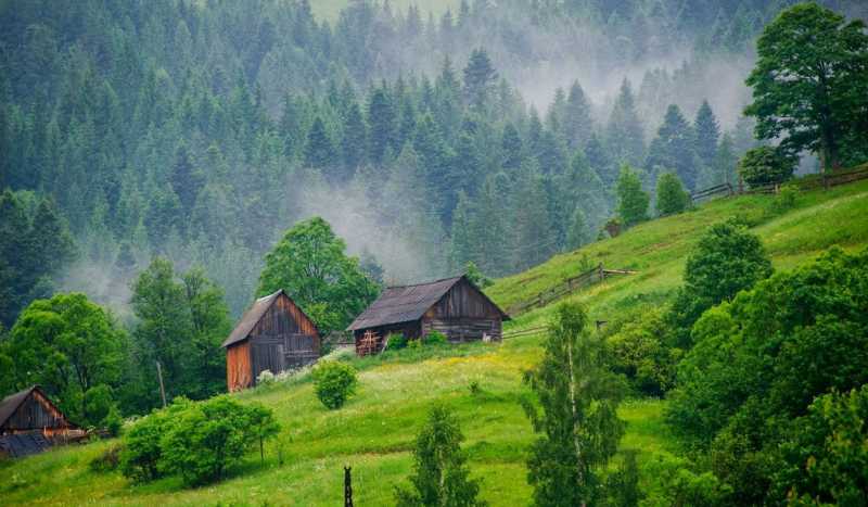 Прикарпатье фото 1