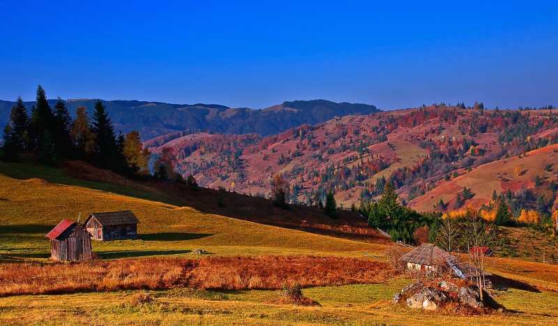 Прикарпатье фото 3