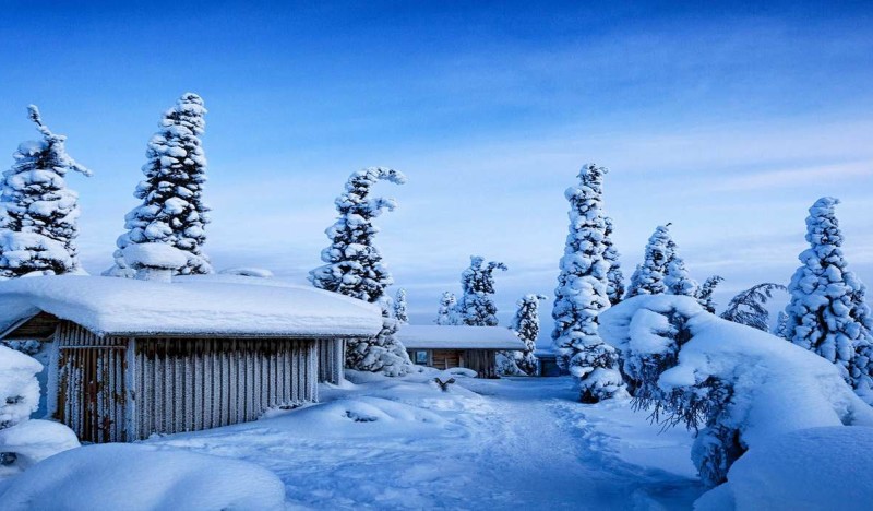 <span class=kid-textflex>Рука</span>