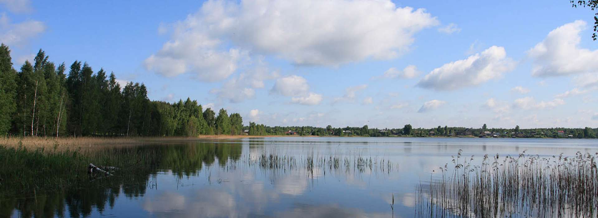 Загородные лагеря