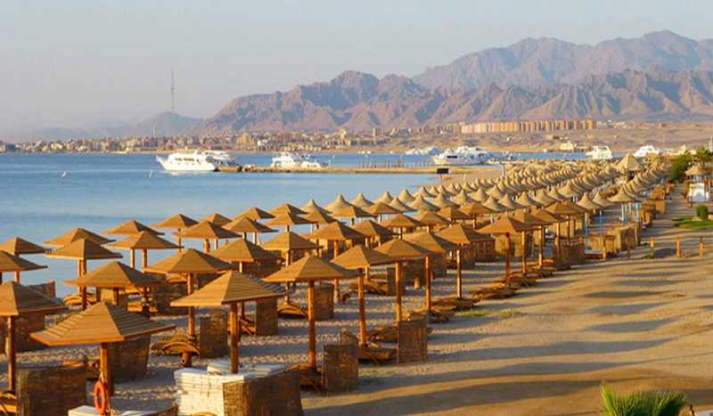 Сафага фото 3