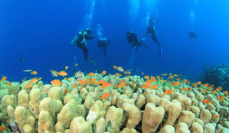 Шарм-эль-Шейх фото 2