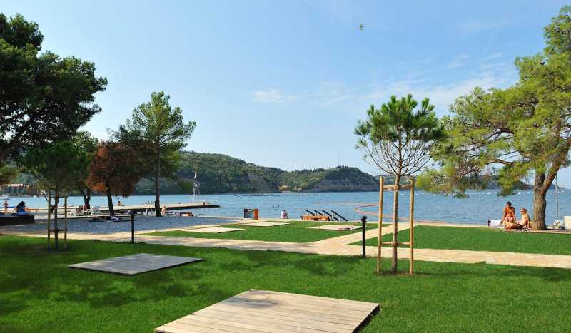 Талассо Струньян фото 1