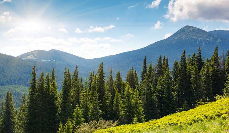 Закарпатье фото 1