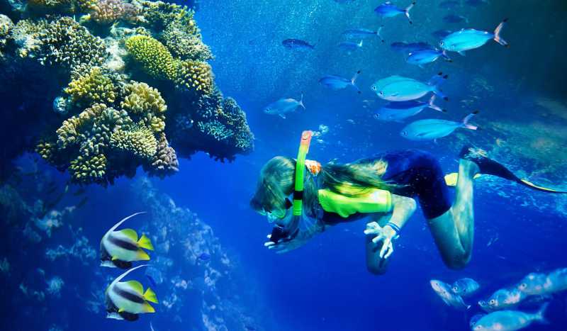 Египет фото 2